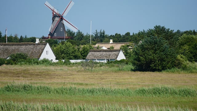 Thomas Duffy: Why has Denmark embraced a cow tax?