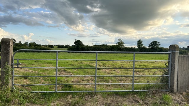 Ireland had fourth largest drop in agricultural income in EU in 2023 - Eurostat