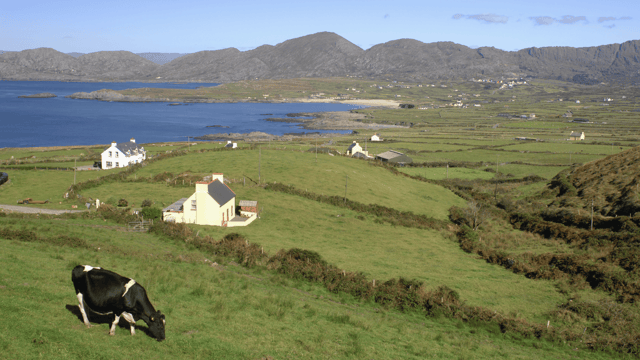 Farmers 'cannot afford to wait' until 2040 for new EU vision - farm org