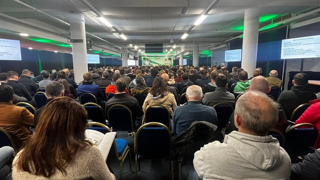 2024 ending on 'a good note' for dairy farmers - O'Mara