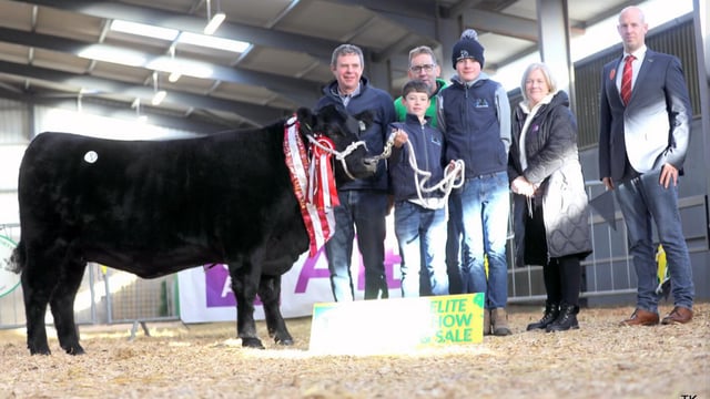 Cork-bred heifer takes top price at Angus sale in Carrick