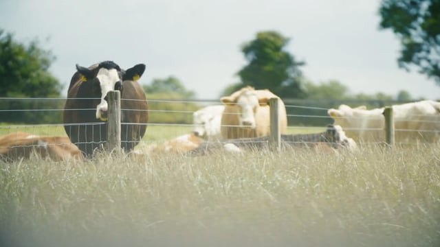 Agriland and DAFM to launch 'TB Awareness Series'