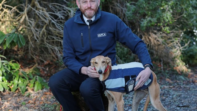 ISPCA urges public to help animals in need this Christmas