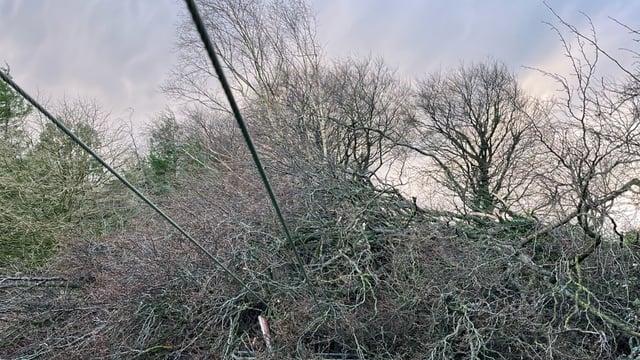 Ireland must be 'much better prepared' for extreme weather events