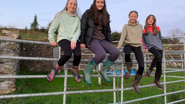 Drumshanbo students win for electric fence 'Wasp' product