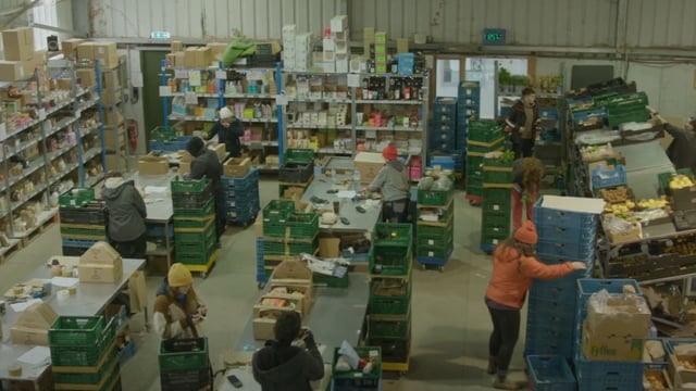 Watch: Galway organic veg farm delivers to doors nationwide