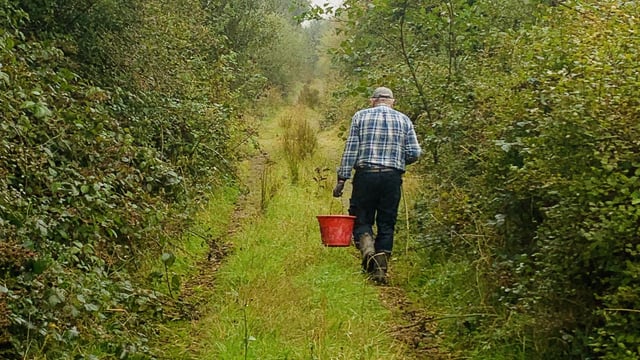 Winners of hedgerow photo competition announced