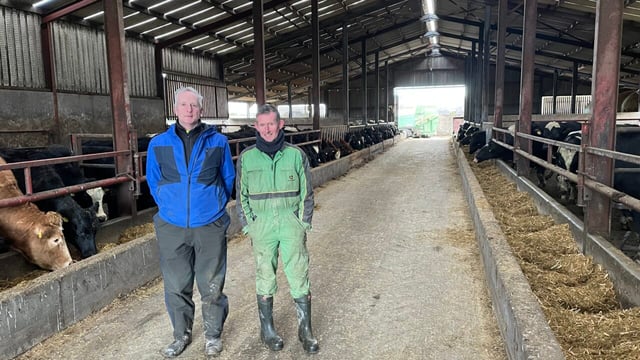 Beef Focus Revisit: Integrated dairy and beef farm in Tipp