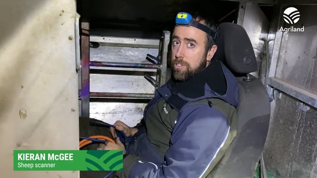 Watch: Update on sheep scanning results to date