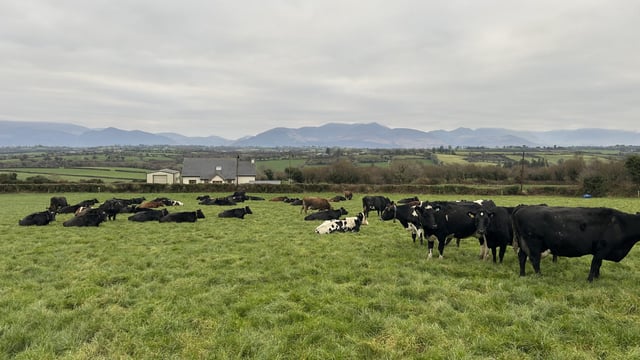 Agriland and LIC present new series focused on efficient breeding