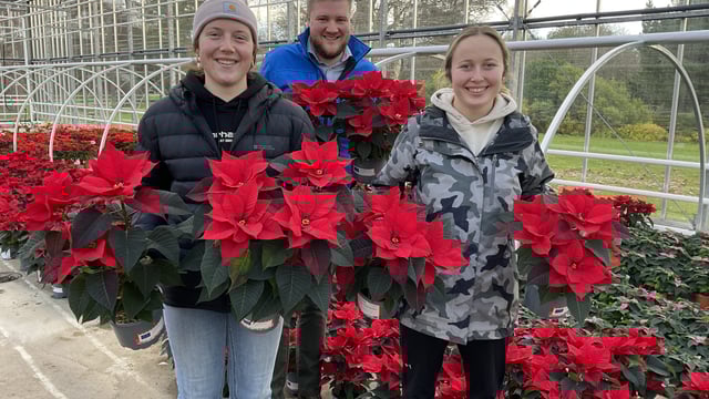 US agri exchange students recount their positive time in NI