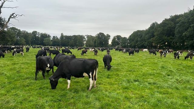 National Farm Survey: Rebound in incomes in all systems in 2024