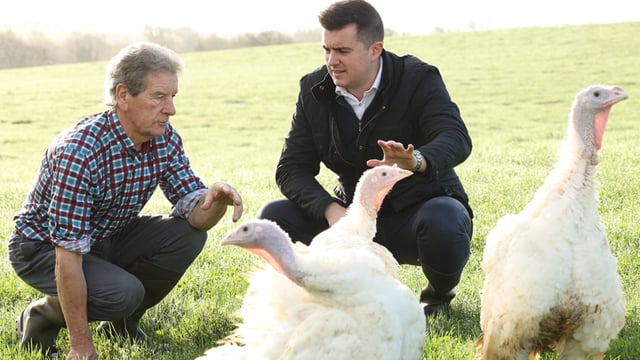 Lidl Ireland signs new deal with Monaghan's McCaghey Turkeys