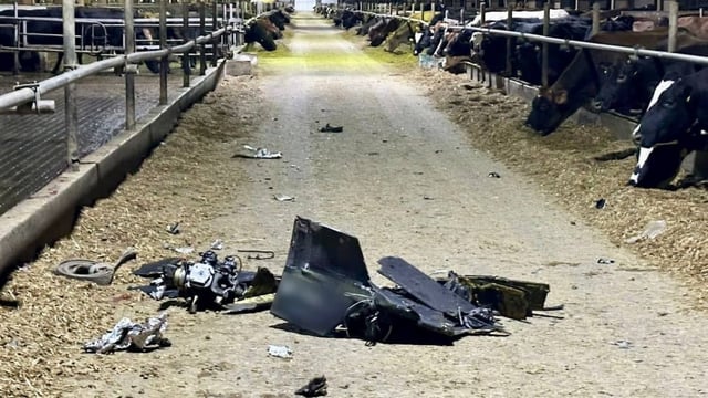 Ukraine dairy sector still investing despite Russian missiles