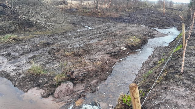 Landowner convicted for dredging fish spawning habitat