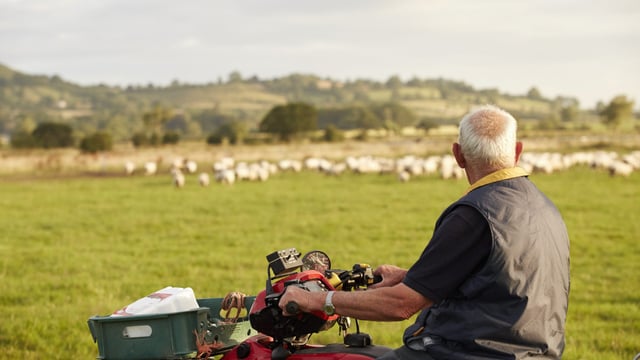 Video - A look back at 2024 and a Happy New Year from Agriland