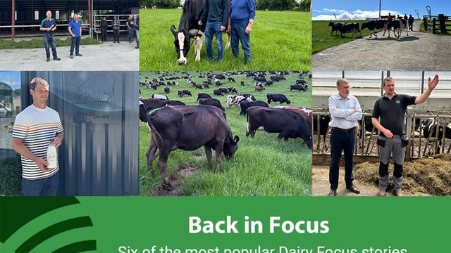 'Dairy Throwback' series to go live over Christmas period