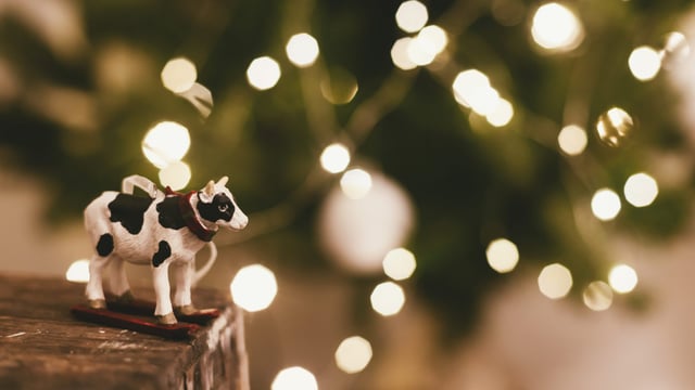 Met Éireann: No white Christmas, but mild and more settled