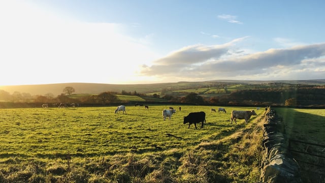 May average temperatures among warmest on record