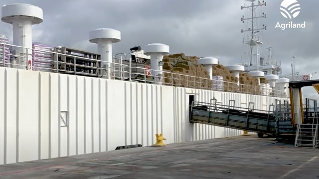 Plans for new boat to take 5,000 calves/week next spring