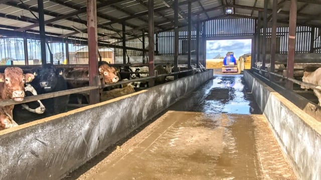 Number of CFU beef herds rose by over 80 in 2 years