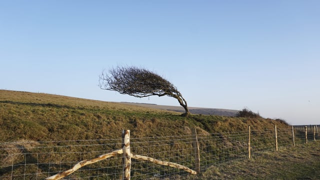 DAFM urges safety for farmers as Storm Éowyn approaches