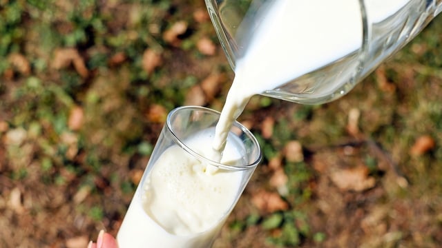 New chairperson being sought for National Milk Agency