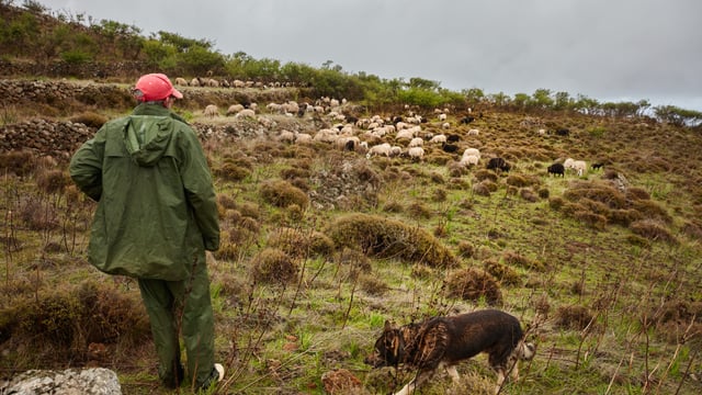 Farmers 'deeply concerned' about level of illegal trespass