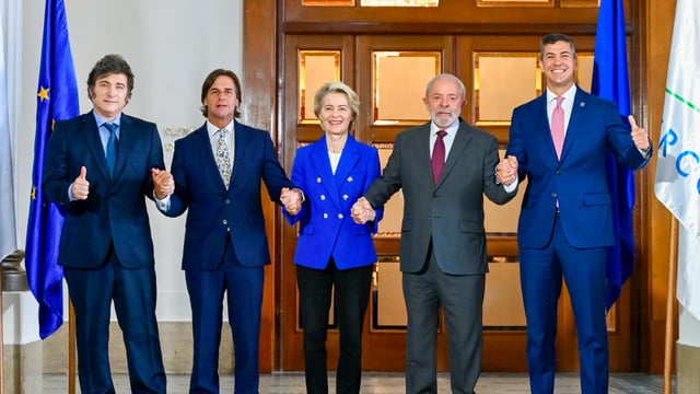 Mercosur should be 'red line' issue for next govt - Irish farm orgs