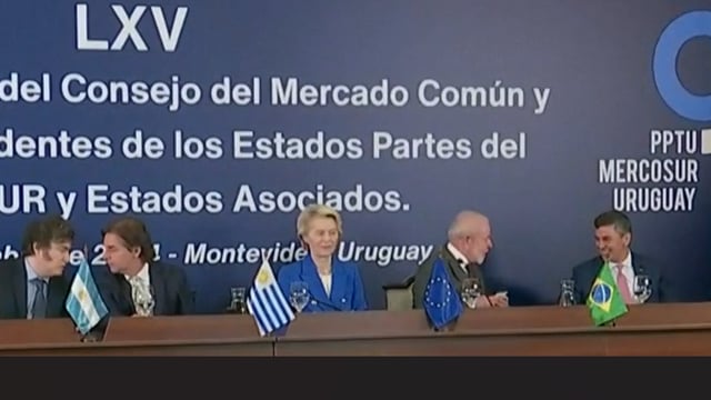 Irish NGOs warn Mercosur will speed up 'collapse of family farms'