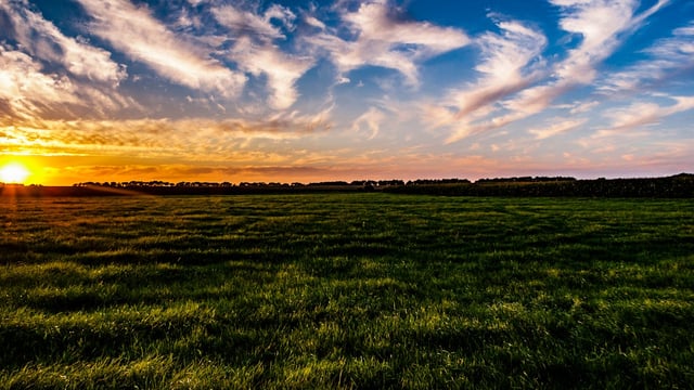 Grassland Agro: 'Intense' fertiliser price decreases impacted 2023 results