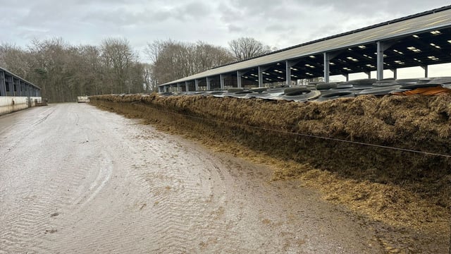 Reducing the farm's workload for Christmas Day