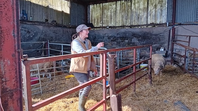 'Farmers are losing' - Síolta Chroí