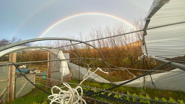 Organic farmers plea for government assistance after storm