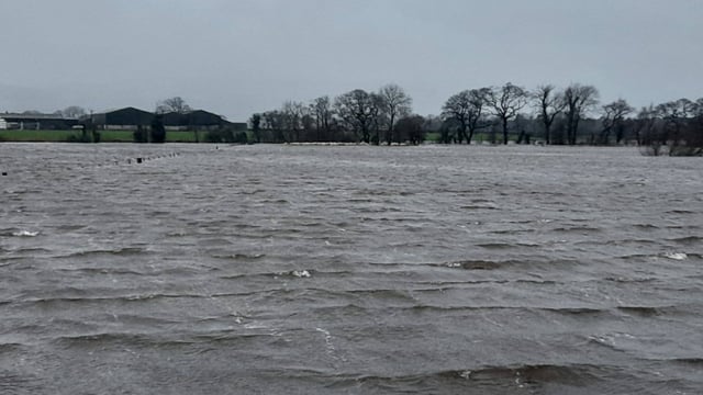 Three sheep die and 57 rescued following flooding in Scotland