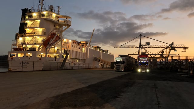 Revealed: See inside new ship to bring 5,000 calves/week