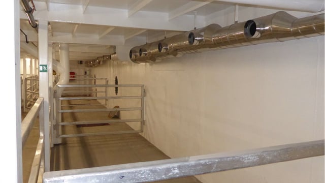 Use of 5,000-head livestock ship for calves now in doubt