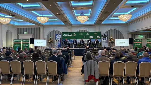 Watch: 'You don't have an industry without young farmers' - Mulvihill