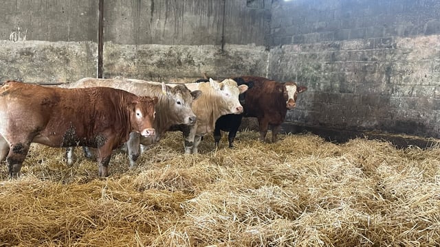 Factory quotes: Top end of 'all in' prices surpassing €6.50/kg