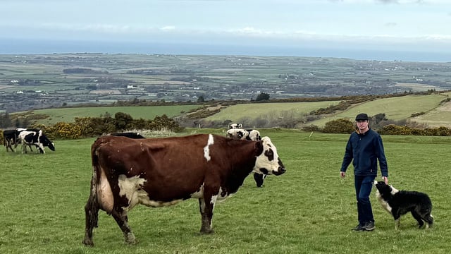 Farm sells milk directly to public on TB-free Isle of Man