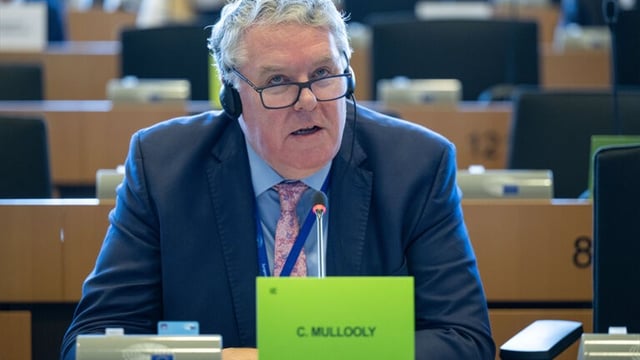 Mullooly welcomes CAP simplification but with some concerns