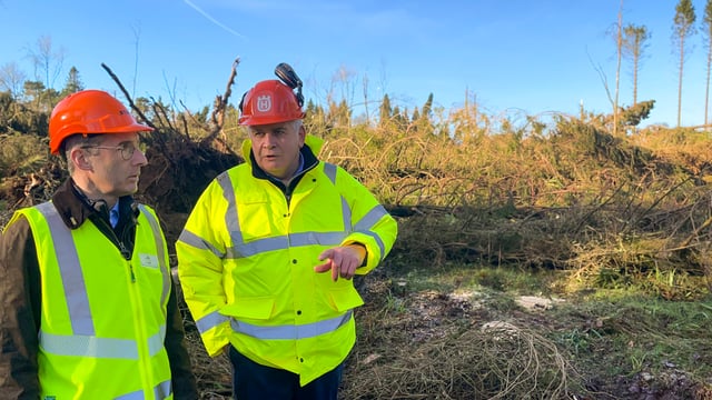 Minister Muir visits Tyrone forest devastated by storms