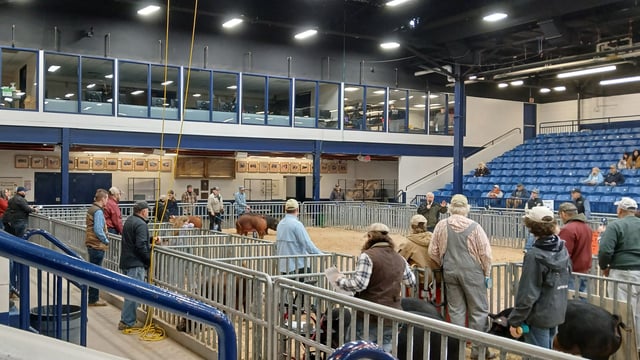 Social initiative for farmers developed in Galway now launched in US