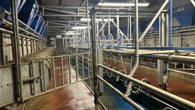 Milk Price Tracker: Prices steady for the end of 2024