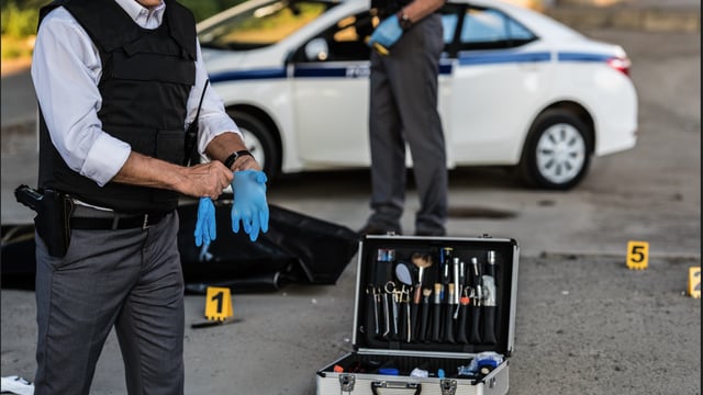 INTERPOL launches project targeting environmental crime