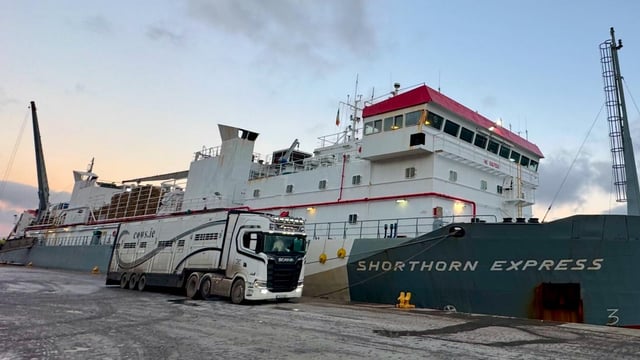 Largest shipment of pedigree dairy in-calf heifers sets sail to Algeria