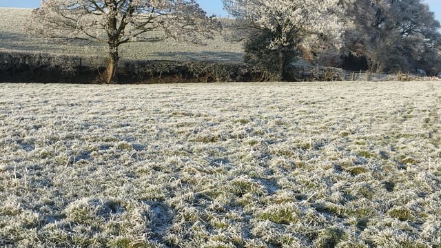 How can farmers prepare for wintry conditions?