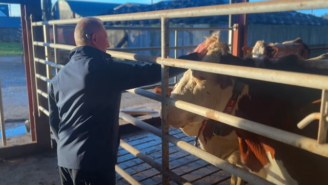 Watch: Offaly farmer makes big savings by 'going solar'