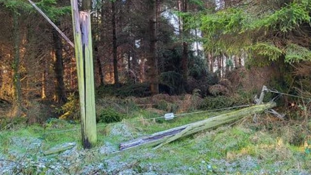 ESB proposes greater legislative land access for forestry corridors