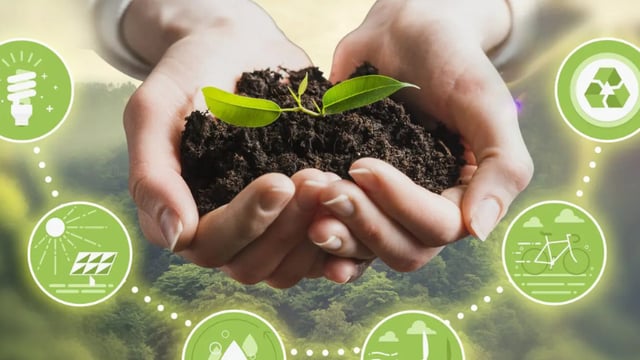 MTU launches rural bioeconomy webinar series